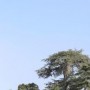 波尔多‘原型’家园 / Wald.City