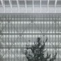上海奉贤区老年大学 / 高目建筑