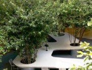 樹(shù)桌花園 / 上海大觀景觀設(shè)計(jì)