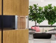 藏儲與社交共生的自然系工作空間