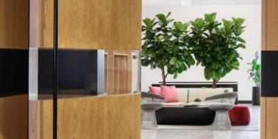 藏儲與社交共生的自然系工作空間
