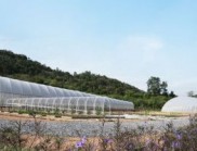 地形共生：卡農普拉營地的基礎設施與自然設計