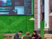 Greenmood：以天然植物設計，構建親自然聲學空間