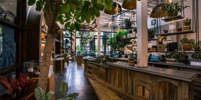 設(shè)計賦予藥房新定義：The Woods WeHo 的 “生態(tài)禪宗” 美學(xué)與可持續(xù)表達