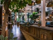 設(shè)計(jì)賦予藥房新定義：The Woods WeHo 的 “生態(tài)禪宗” 美學(xué)與可