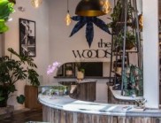 生態(tài)禪宗風(fēng)的可持續(xù)設(shè)計(jì)：The Woods WeHo 高端藥房