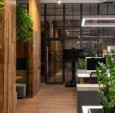 Studio RIS 设计：伏尔加格勒两餐厅共享办