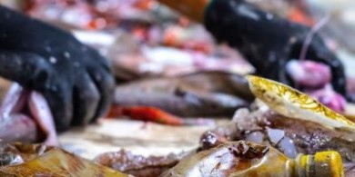 海洋碎片的重生：Oceanic 織物的回收塑料設(shè)