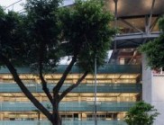 羅湖初始規劃設計：效率優先下的自然與人文缺位