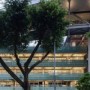 罗湖初始规划设计：效率优先下的自然与人文缺位