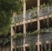 Nuevo León 207：结构赋能、植被联动的生态设计