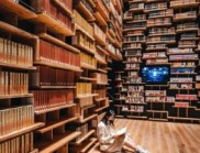 交錯書架與金屬走道：東京圖書館的活動場景設計