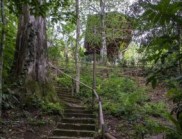 水晶井與樹梢共構：帕拉蒂科里斯基尼奧建筑的外部動線與高度設計