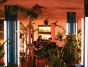 巴克敏斯特?富勒啟發(fā)：Dome 的時(shí)尚餐飲空間設(shè)計(jì)表達(dá)