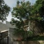 Casa Camboriú 住宅设计｜Terra e Tuma 建筑事