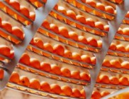“Feel the Peel”：Carlo Ratti Associati 的橙皮再生體驗設計