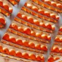“Feel the Peel”：Carlo Ratti Associati 的