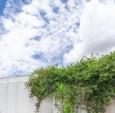地形边界导向的建筑设计：Casa Tocama 住宅