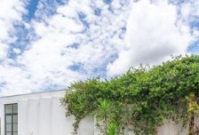 地形邊界導(dǎo)向的建筑設(shè)計：Casa Tocama 住宅與自然景觀的融合植入相關(guān)圖片