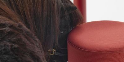 公私空間通配：小馬 ? 座椅與桌子組的相關圖片