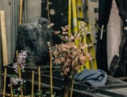 薩拉索塔現(xiàn)代主義建筑設(shè)計(jì)：從經(jīng)典地標(biāo)到風(fēng)格慶典