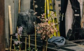 薩拉索塔現(xiàn)代主義建筑設計：從經(jīng)典地標到風格慶典