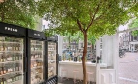 Standard Studio：借鏡與樹巧思，賦予狹小空間獨特綠色設計感