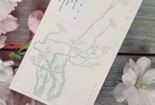 梅見千年風雅：一部“最美的書”里的中式美學(xué)追求相關(guān)圖片