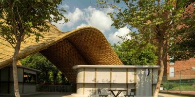 樹影棲食：以責任意識為核的美食空間的相關(guān)圖片