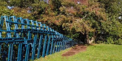 河境共生：特哈島東部區(qū)域景觀激活與的相關(guān)圖片