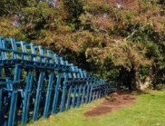 河境共生：特哈島東部區(qū)域景觀激活與展館設(shè)計(jì)