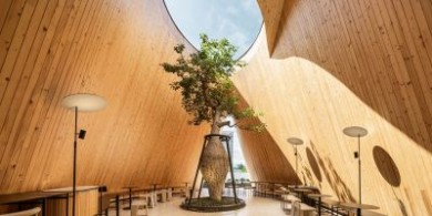 Harudot：引樹入室的空間設(shè)計