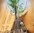 泰式自然美学咖啡馆，建筑与绿意共生