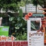 青年艺术家陈采薇让国漫IP走进城市公共空间
