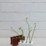 花瓶艺术、花器创作艺术